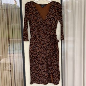 Sanctuary like BN beautiful dress